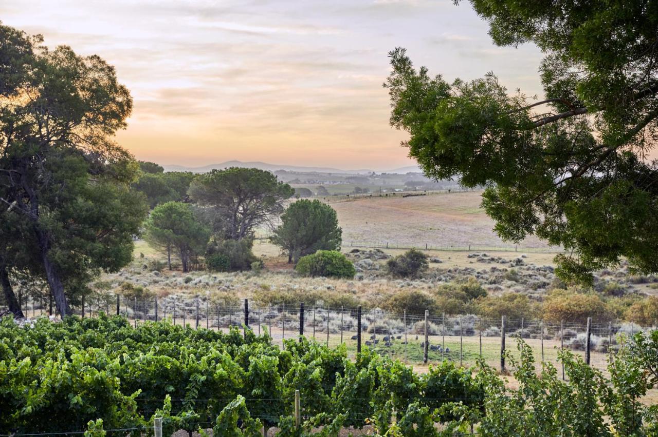 Deux Freres Wine Estate & Luxury Villas Stellenbosch Exterior foto