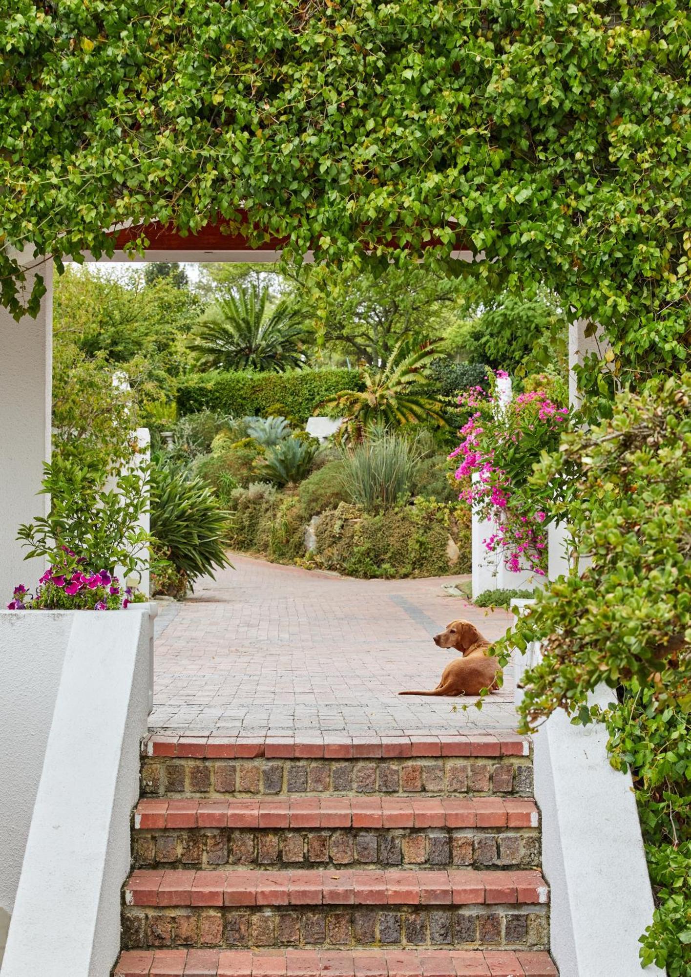 Deux Freres Wine Estate & Luxury Villas Stellenbosch Exterior foto